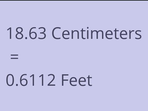 18.63 CM TO FEET