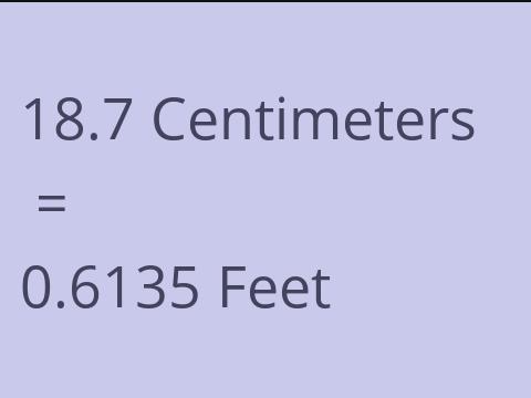 18.7 CM TO FEET