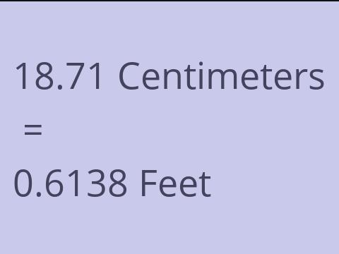 18.71 CM TO FEET