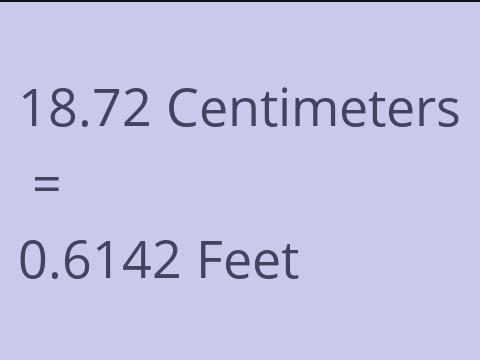 18.72 CM TO FEET