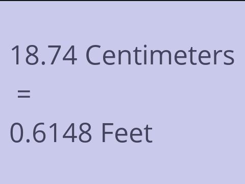 18.74 CM TO FEET