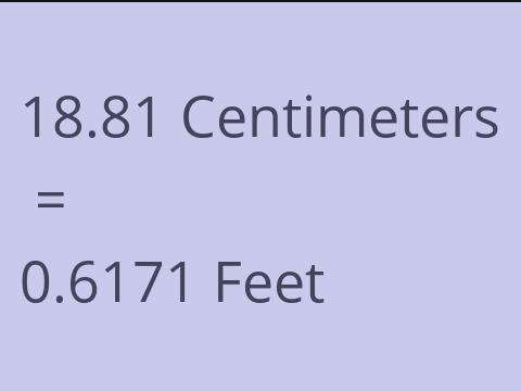 18.81 CM TO FEET