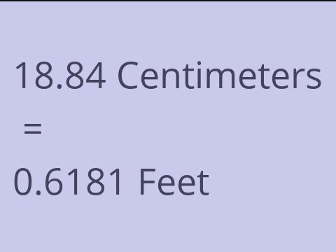 18.84 CM TO FEET