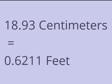 18.93 CM TO FEET