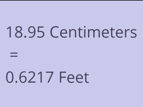 18.95 CM TO FEET