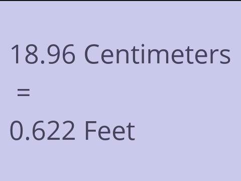 18.96 CM TO FEET