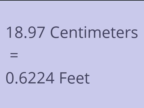 18.97 CM TO FEET