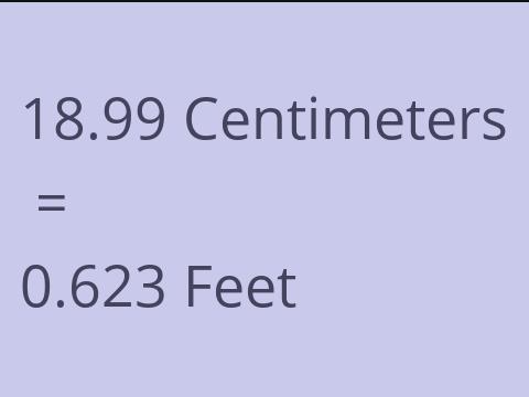 18.99 CM TO FEET