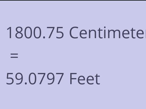 1800.75 CM TO FEET