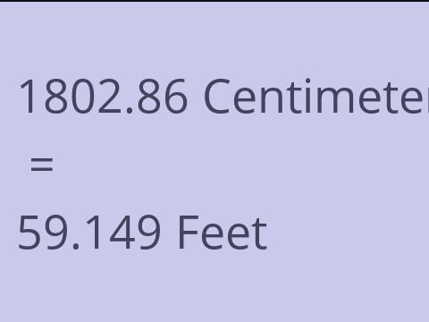 1802.86 CM TO FEET