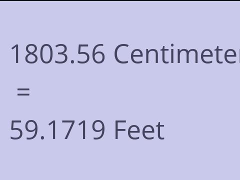 1803.56 CM TO FEET