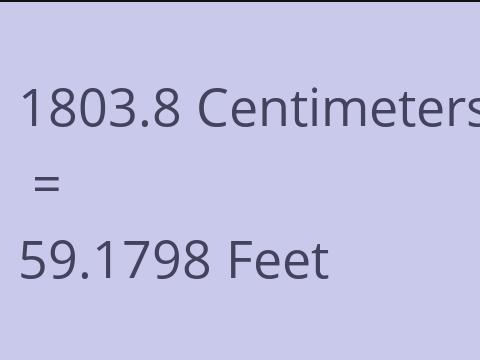 1803.8 CM TO FEET