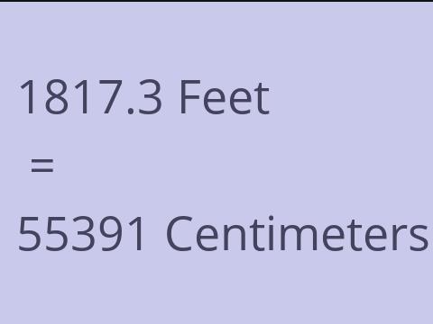 1817.3 FEET TO CM