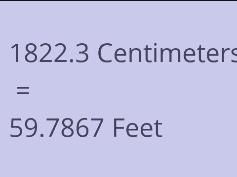 1822.3 CM TO FEET