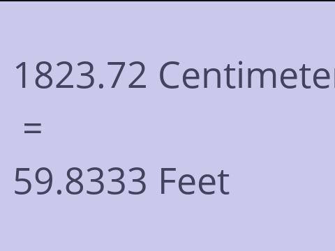 1823.72 CM TO FEET