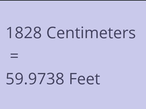 1828 CM TO FEET