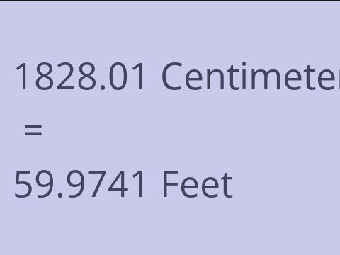 1828.01 CM TO FEET