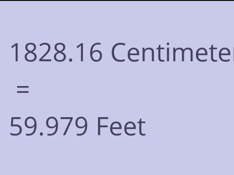 1828.16 CM TO FEET