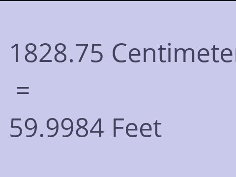 1828.75 CM TO FEET