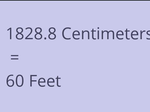 1828.8 CM TO FEET