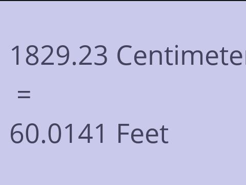 1829.23 CM TO FEET