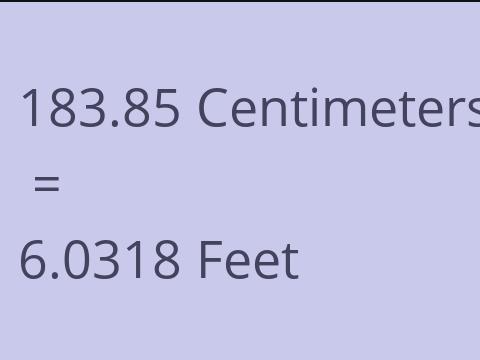 183.85 CM TO FEET