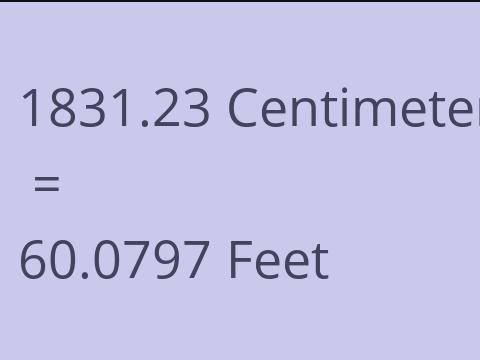 1831.23 CM TO FEET