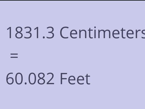 1831.3 CM TO FEET