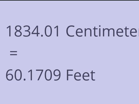 1834.01 CM TO FEET