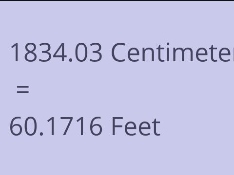 1834.03 CM TO FEET