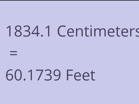 1834.1 CM TO FEET