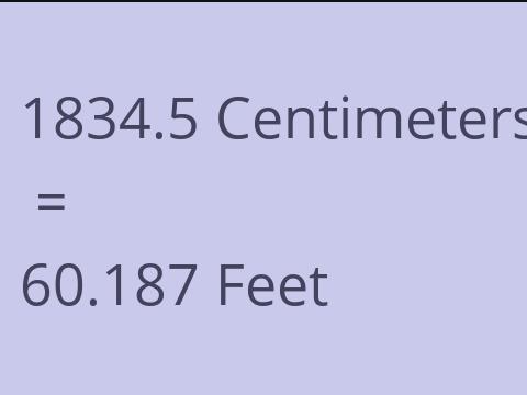 1834.5 CM TO FEET