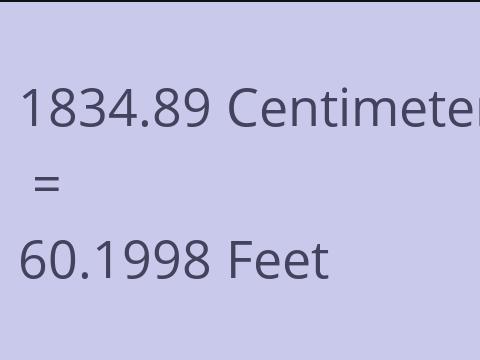 1834.89 CM TO FEET