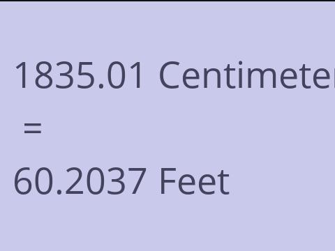 1835.01 CM TO FEET