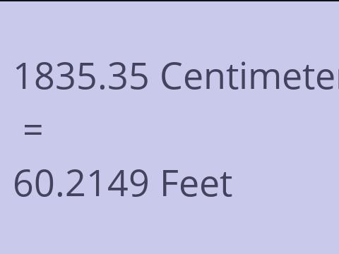 1835.35 CM TO FEET