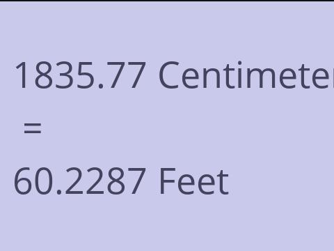 1835.77 CM TO FEET