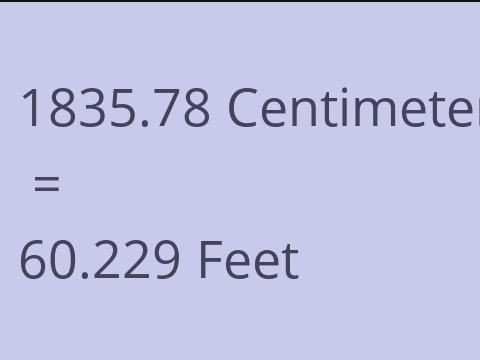 1835.78 CM TO FEET