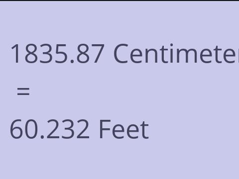 1835.87 CM TO FEET