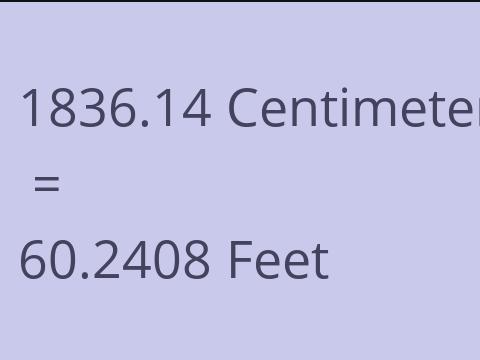 1836.14 CM TO FEET