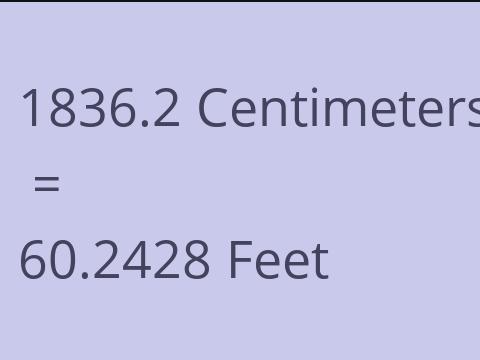 1836.2 CM TO FEET