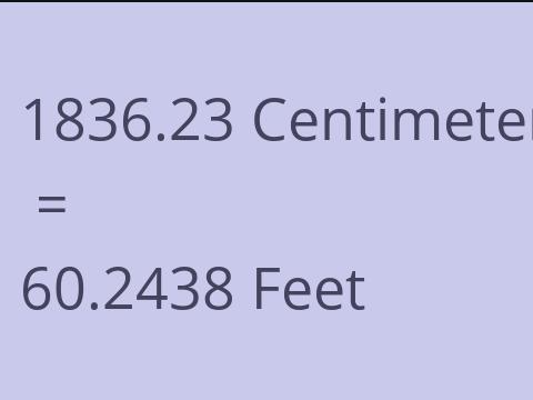 1836.23 CM TO FEET