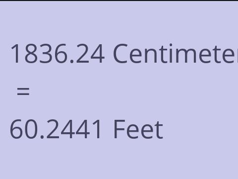 1836.24 CM TO FEET