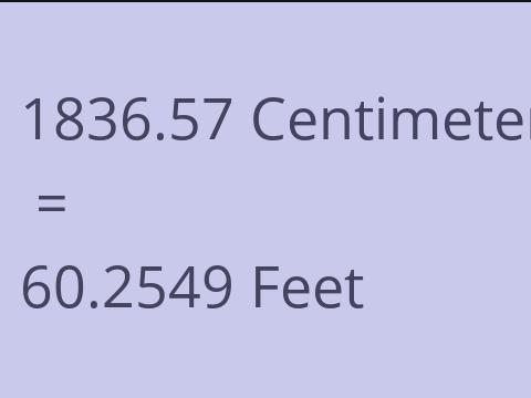 1836.57 CM TO FEET