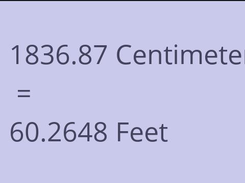 1836.87 CM TO FEET