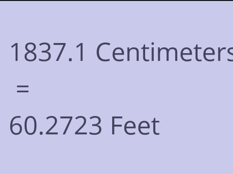 1837.1 CM TO FEET