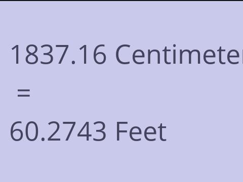 1837.16 CM TO FEET