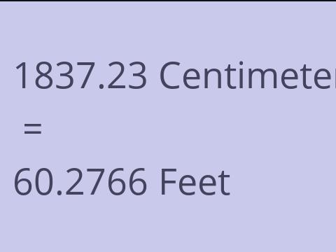 1837.23 CM TO FEET