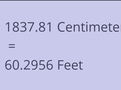 1837.81 CM TO FEET