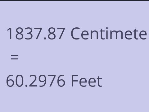 1837.87 CM TO FEET