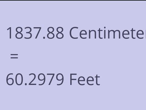 1837.88 CM TO FEET